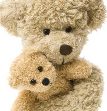 Teddy Bear and Friend
